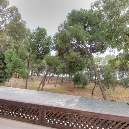 Appartamento Dasoudi Beachfront